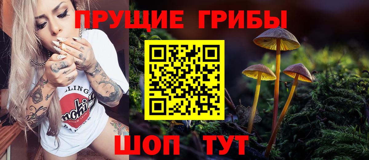 Ханты-Мансийск  Галлюциногенные грибы Psilocybe  Вход с VPN 
